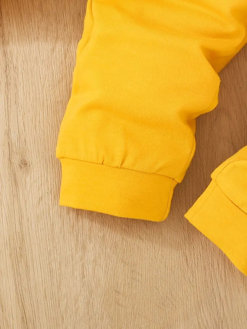 Ensemble 3 pièces pour garçon et fille : un t-shirt avec imprimé ours, un sweat à capuche et un pantalon de sport.Ensemble 3 pièces pour garçon et fille : un t-shirt avec imprimé ours, un sweat à capuche et un pantalon de sport.