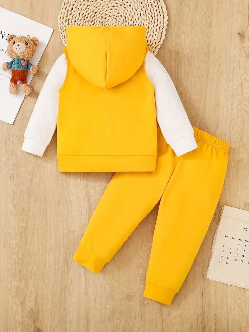 Ensemble 3 pièces pour garçon et fille : un t-shirt avec imprimé ours, un sweat à capuche et un pantalon de sport.Ensemble 3 pièces pour garçon et fille : un t-shirt avec imprimé ours, un sweat à capuche et un pantalon de sport.